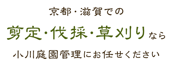 京都で庭木の剪定・伐採・草刈りなら小川庭園管理にお任せください